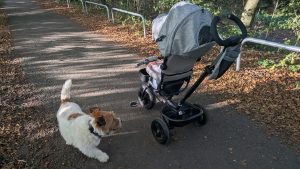 Rear perspective of a child in a grey Kinderkraft tricycle review model showing the sun hood and parent steering handle.